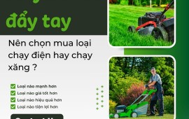 Máy cắt cỏ đẩy tay dùng xăng hay điện: Loại nào phù hợp cho sân vườn ?