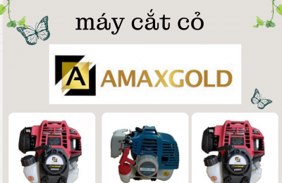 Top 3 máy cắt cỏ Amaxgold đáng sử dụng
