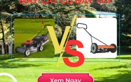 So sánh xe cắt cỏ đẩy tay có thu cỏ và không thu cỏ: Nên chọn loại nào?