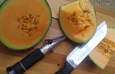 Máy đo độ ngọt dưa lưới giúp xác định thời gian thu hoạch