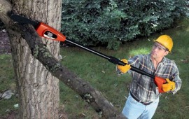 Có nên sử dụng máy cắt cành trên cao không?