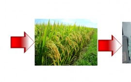 Cách tăng lợi nhuận bằng máy phun phân bón