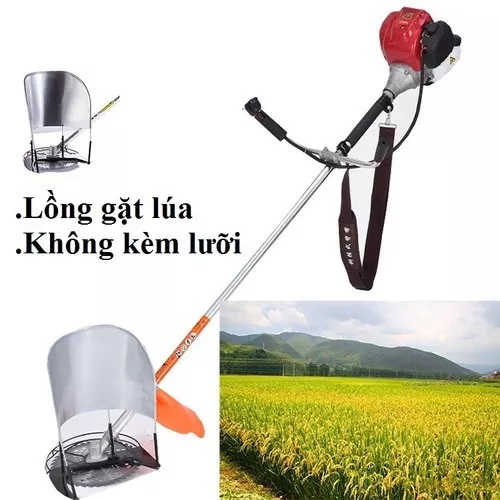 cắt lúa bằng máy cắt cỏ