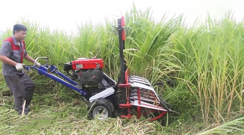 máy cắt cỏ cho bò ăn 3A8HP