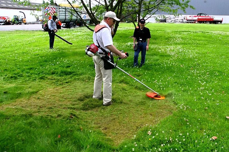 Giới thiệu một số loại máy cắt cỏ nhật bản